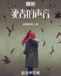 倾听死者的声音动画化
