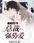 先孕后婚，总裁强势爱