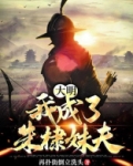 大明，我成了朱棣妹夫？