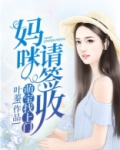 萌宝找上门妈咪请签收电视剧二十七集