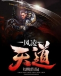 迪佳风天道