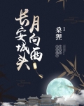 长安城头月向西结局