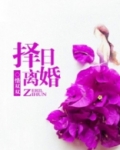 择日离婚 惜双双 小说