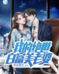我的老婆白富美小说阅读