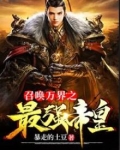 召唤万界之最强帝皇赵风