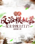 综武:反派模拟器,女主全找上门了的小说
