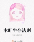火影忍者木叶生生不息