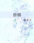 骄婿小说