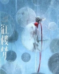 综影视含斗罗系列