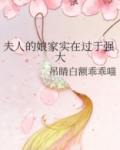 夫人的娘家实在过于强大免费阅读