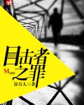 目击者第一季