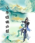 小爷睚眦必报