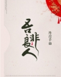 吾非良人小说