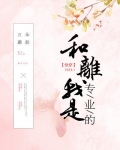 和离我是专业的快穿TXT