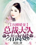 闪婚娇妻：总裁大人请离婚