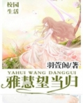 望可以当归上一句