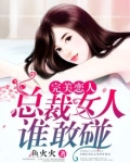 完美总裁2