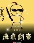 海贼之流浪剑豪