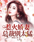 惹火娇妻,总裁别太猛