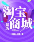 超级淘宝商城 刘家小二哥