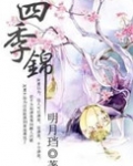四季锦讲的什么