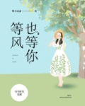 等风也等你讲的什么