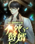 不灭赘婿