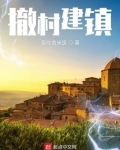 撤村建居政策