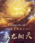 龙王传说之应龙翔天无弹窗免费阅读全文