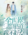 全世界都知道我不好惹