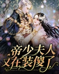 帝少夫人又又又在虐渣了免费下载