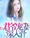 小说君爷宠妻,深入骨