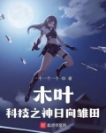 木叶之日向吊车尾笔趣阁