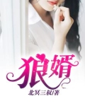 狼婿出山短剧免费观看全集高清