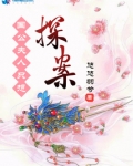 国公夫人只想探案 悠悠羽兮百度云