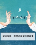 腹黑总裁的契约宠妻