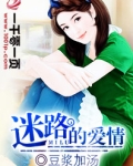 爱情迷路了是什么意思