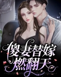 替嫁傻妻的错婚日常