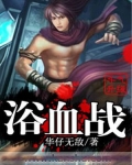 浴血战机二战空战无限金币版