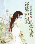 还是奶奶家的炊饭香电视剧