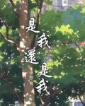 是我，还是我