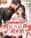 误生豪门崽崽，被亿万总裁拦腰索婚