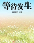 等待发生