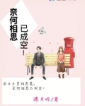 奈何相思已成空这句话是什么意思