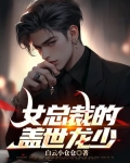 女总裁的上冂龙婿