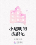 小呗流浪记