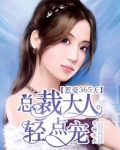 总裁大人,惹不起