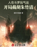 人在斗罗开局已娶教皇