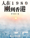 人在1980刚到香港小说