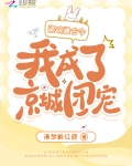 瓷碗通古今，我成了京城团宠